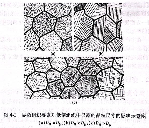 显微组织要素对低倍组织中显露的晶粒尺寸的影响示意图