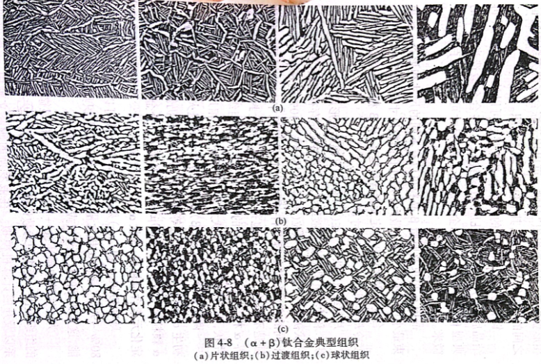 （α+β）钛合金典型组织
