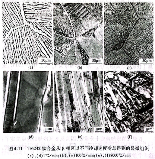 Ti6242钛合金从β相区以不用冷却速度冷却得到的显微组织