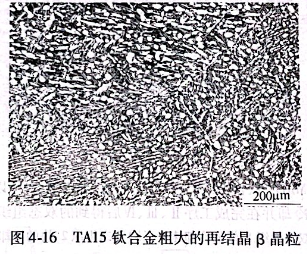 TA15钛合金粗大的再结晶β晶粒