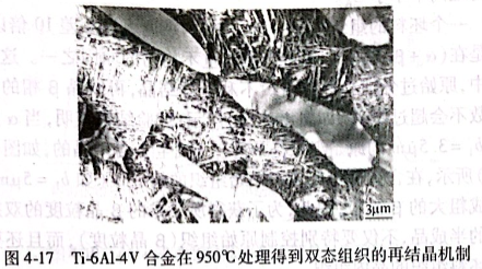 Ti-6Al-4V合金在950°C处理得到双态组织的再结晶机制
