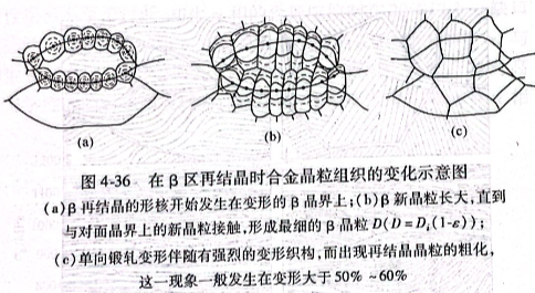 在β区再结晶时合金晶粒组织的变化示意图