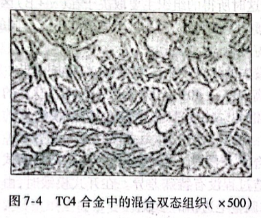 TC4合金中的混合双态组织