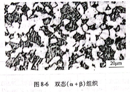 双态（α+β）组织