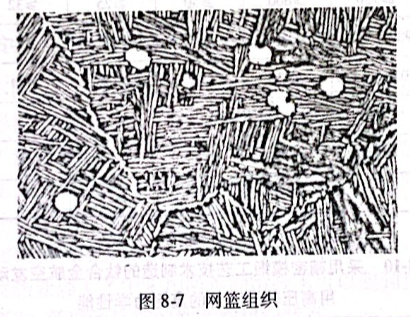 网篮组织