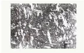 TC17钛合金膜锻件显微组织